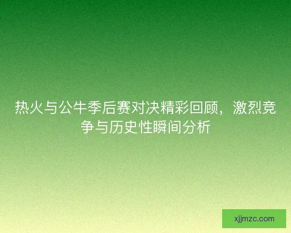 热火与公牛季后赛对决精彩回顾，激烈竞争与历史性瞬间分析