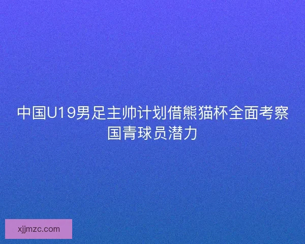 中国U19男足主帅计划借熊猫杯全面考察国青球员潜力