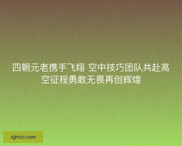 四朝元老携手飞翔 空中技巧团队共赴高空征程勇敢无畏再创辉煌