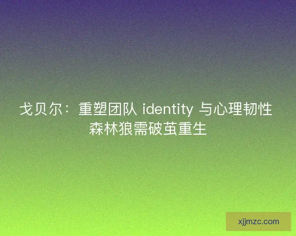 戈贝尔：重塑团队 identity 与心理韧性 森林狼需破茧重生